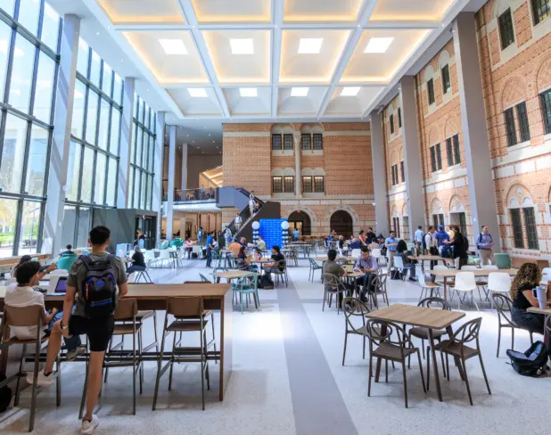 rice university