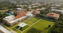 rice univeristy