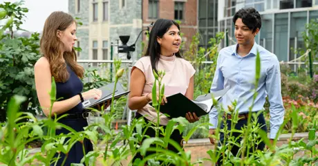 sustainability management program