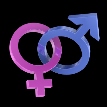 Two intertwined gender symbols