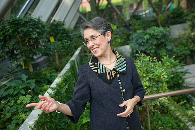 Harvard Business School professor Teresa Amabile