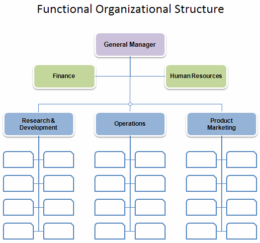 Org Structure