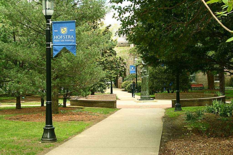 Hofstra MS Finance