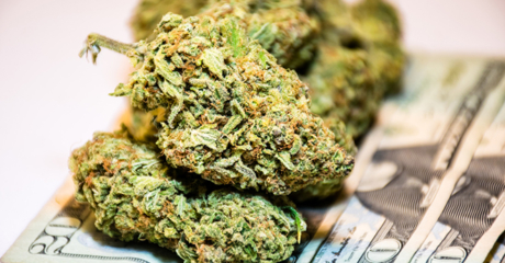 Permalink to: "‘Business Of Marijuana’ Comes To B-School"