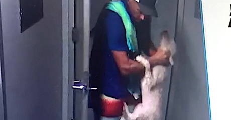 Permalink to: "Boston College MBA Caught On Video Beating His Dog"
