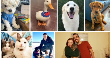 Permalink to: "The Dogs, Cats & Other Furry Friends Who Got MBAs Through 2021"