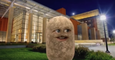 Permalink to: "The B-School Professor Who Became A Potato"