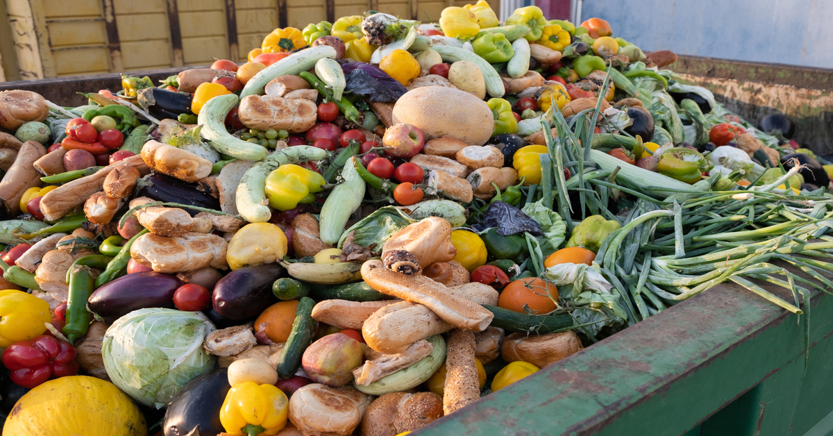 Expired Organic bio waste. Mix Vegetables and fruits in a huge container, in a rubbish bin. 