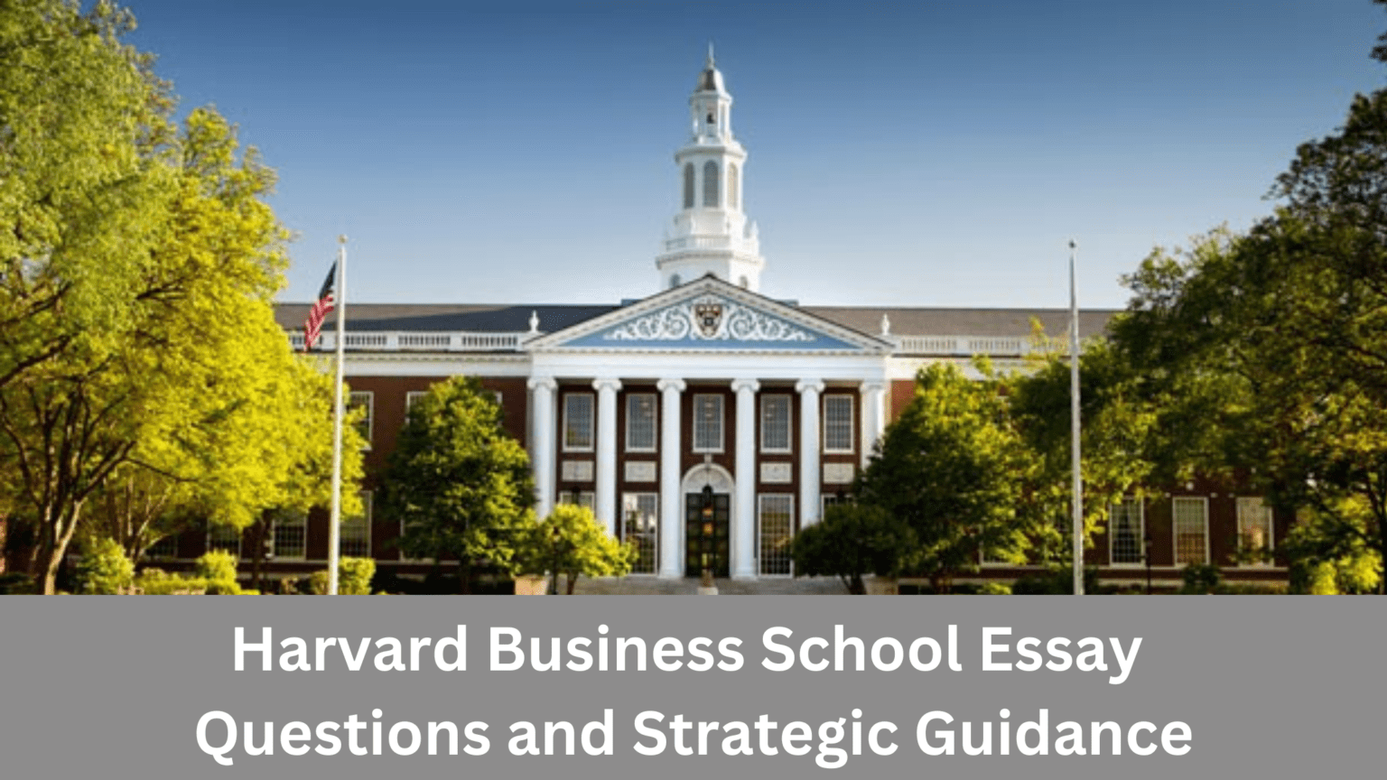 harvard business school essay questions