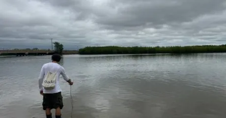 Mangrove restoration