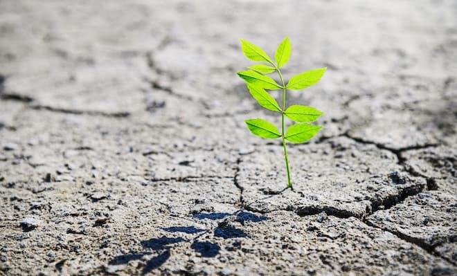 The ROI Of Resilience: Why Conscious Leadership Is The New North Star For STEM MBAs