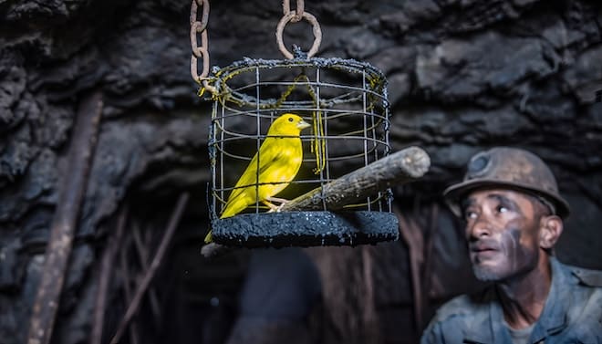 The Canary In The Lecture Hall: What The AI Crisis Scenario Means For Business Academia