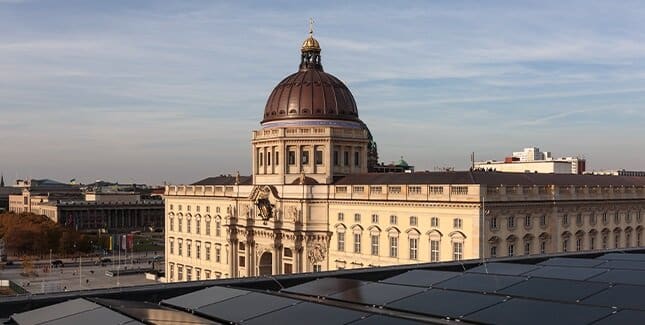 Sustainability At ESMT Berlin: Bees & Business Lessons